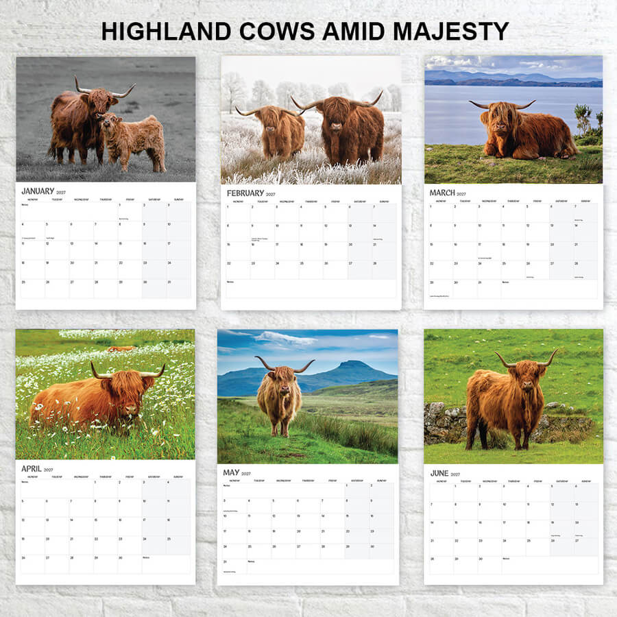 Highland cow Calendar 2027 