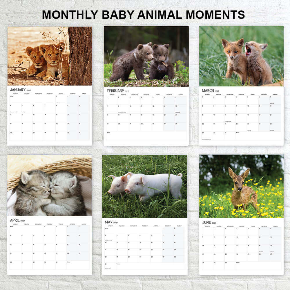 A3 wall calendar 2026