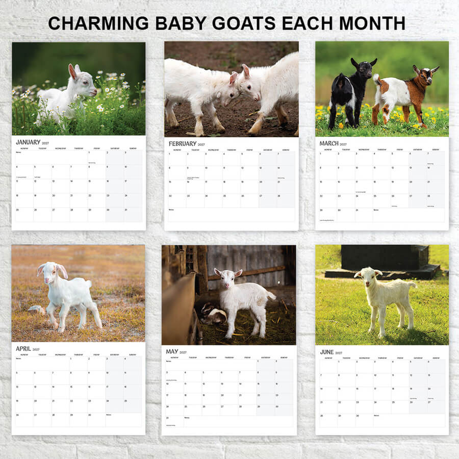 2027 Baby Goats Calendar