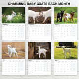 2027 Baby Goats Calendar