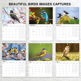 A3 British Bird Calendar 2027 Featuring UK Birds