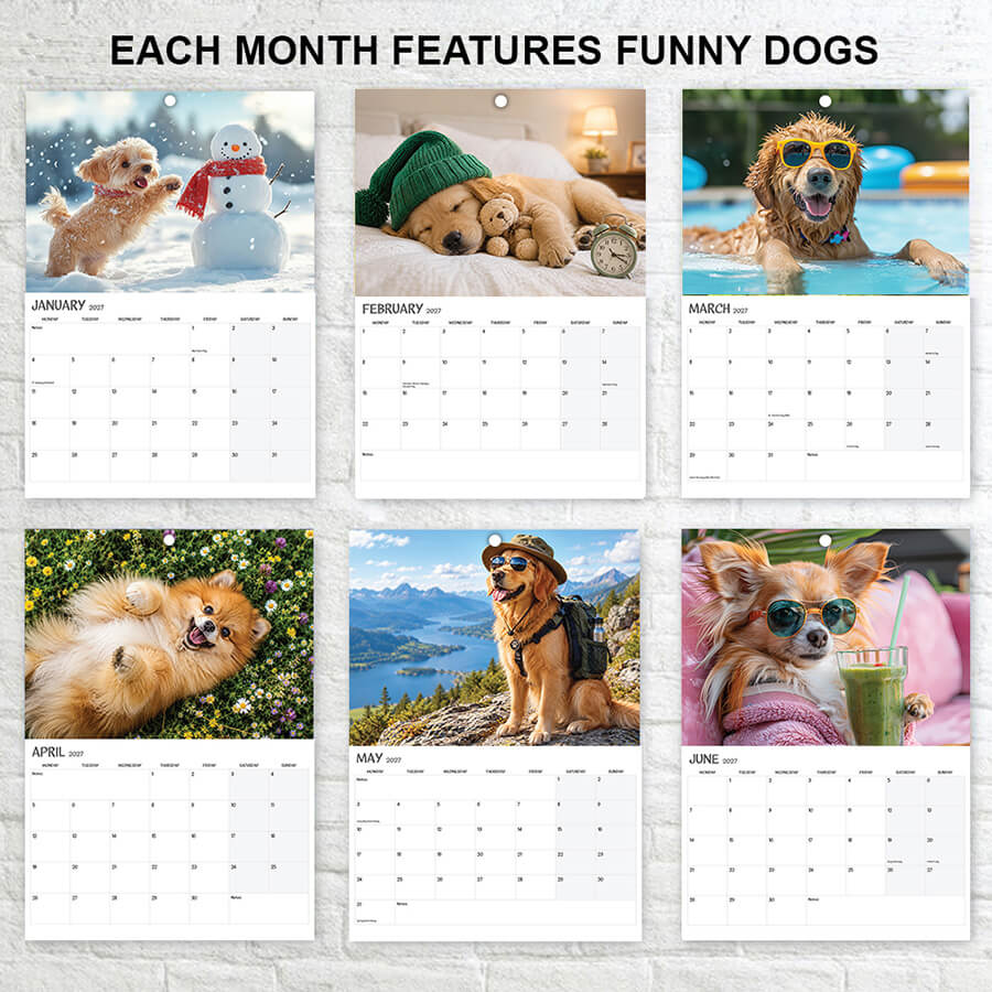 A3 Crazy Canines Calendar 2027 Featuring Dogs