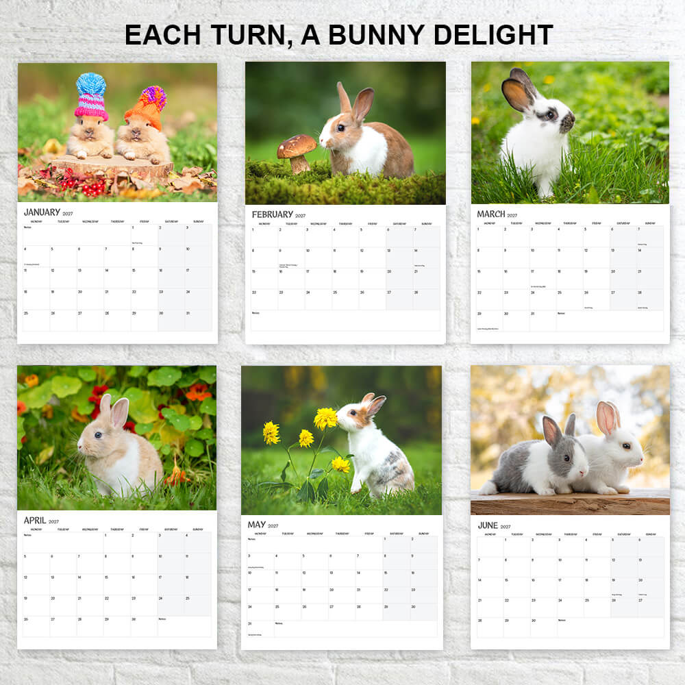 Bunny Calendar 2027 – 12-Month - Wall Planner - A3