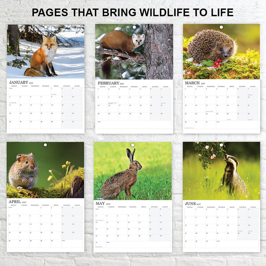 A3 British Wildlife Calendar 2027 Featuring UK Animals