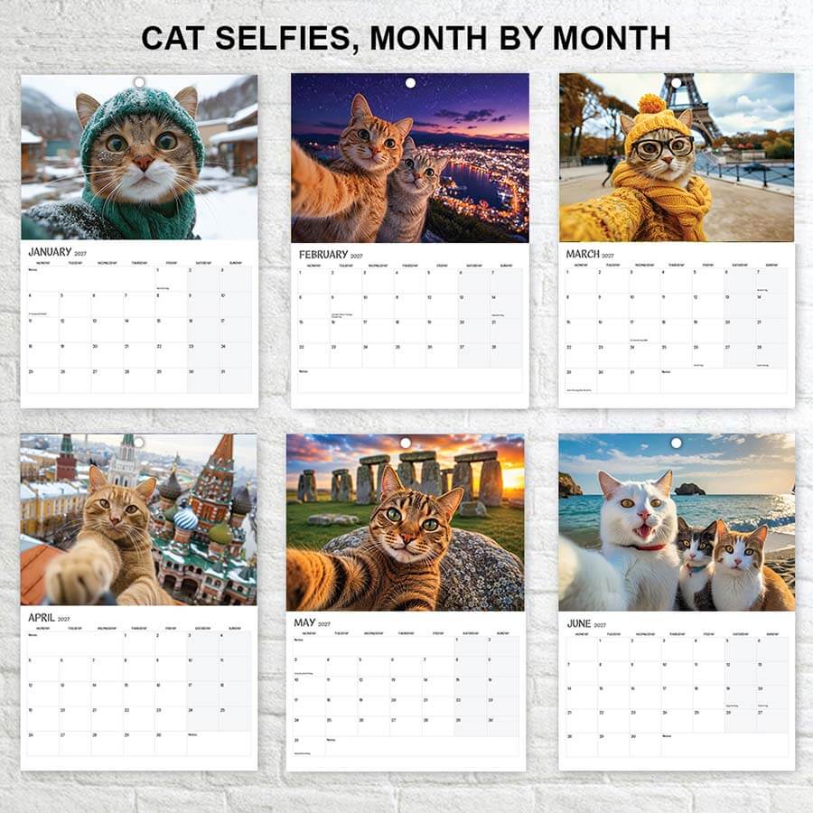 Cat Selfie calendar 2027
