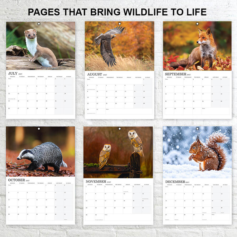UK wildlife animals featured in A3 wall calendar 2027
