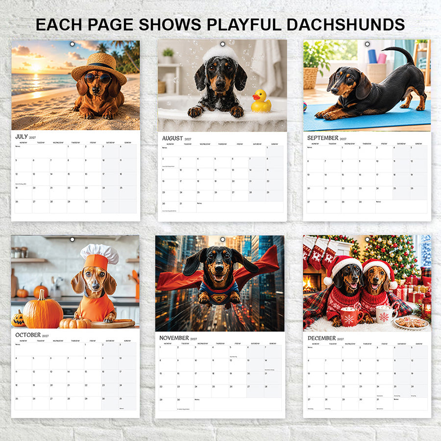 EACH PAGE SHOWS PLAYFUL DACHSHUNDS