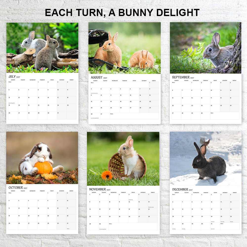 Bunny Calendar 2027 – 12-Month - Wall Planner - A3