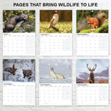 British Wildlife 2027 Wall Calendar A3 12 Months