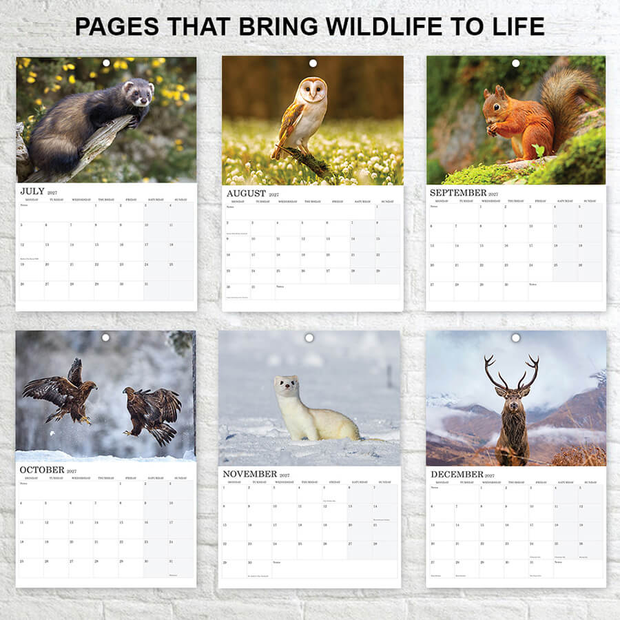 British Wildlife 2027 Wall Calendar A3 12 Months