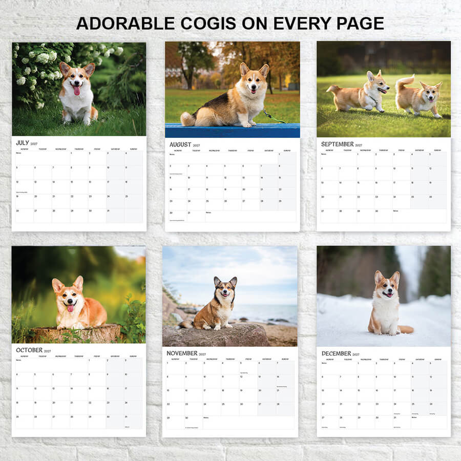 Year 2027 Corgi wall calendar