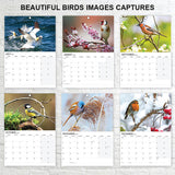 British Bird 2027 Wall Calendar A3 12 Months