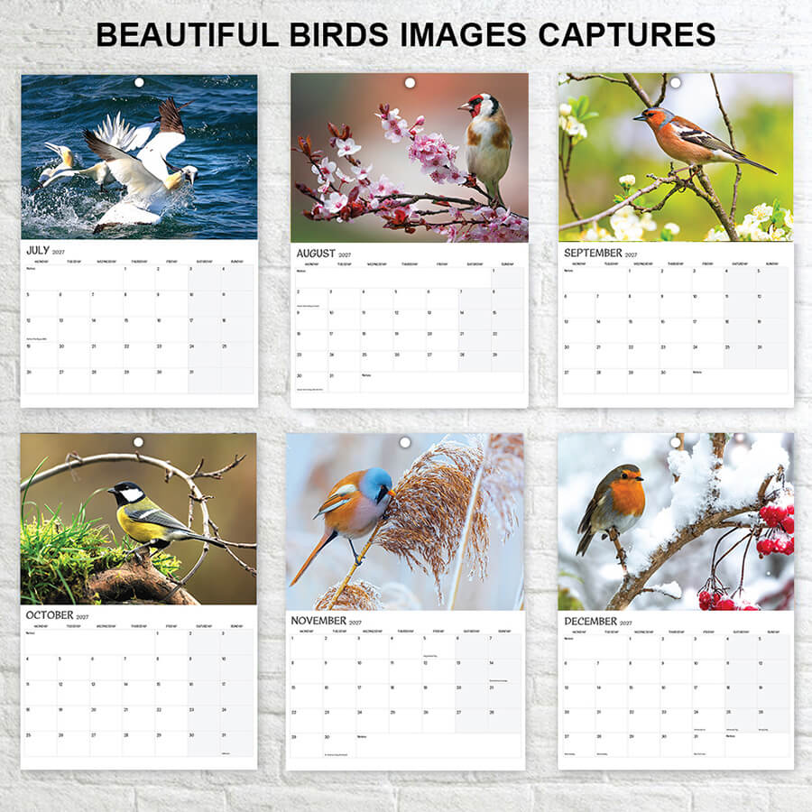 British Bird 2027 Wall Calendar A3 12 Months