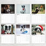 12-Month Border Collie Calendar 2027