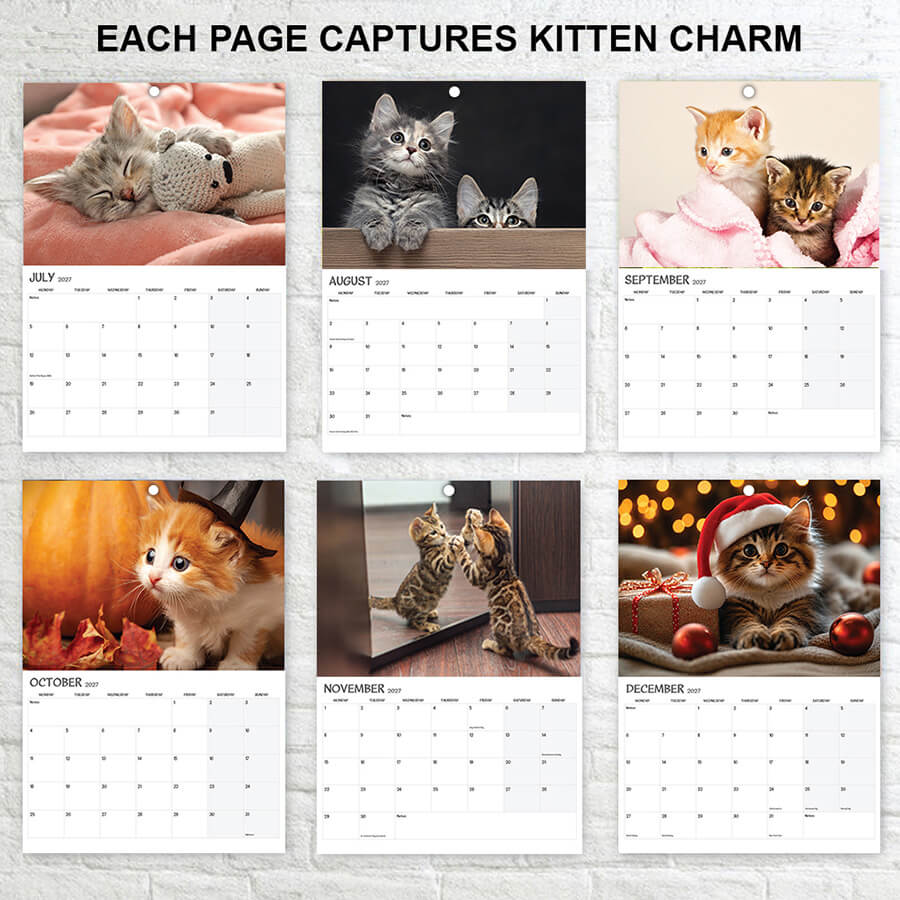 Kittens 2027 Wall Calendar A3 12 Months