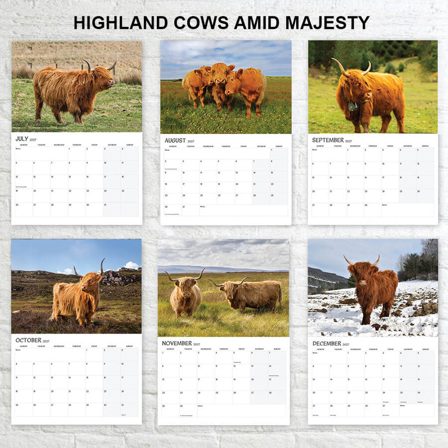 2027 Highland cow Calendar 