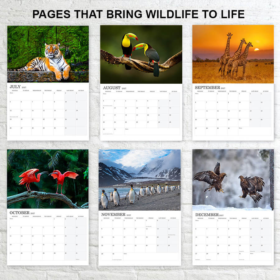 12-Month Calendar 2027