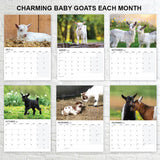 12-month baby goat calendar