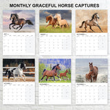 Horse Calendar 2027
