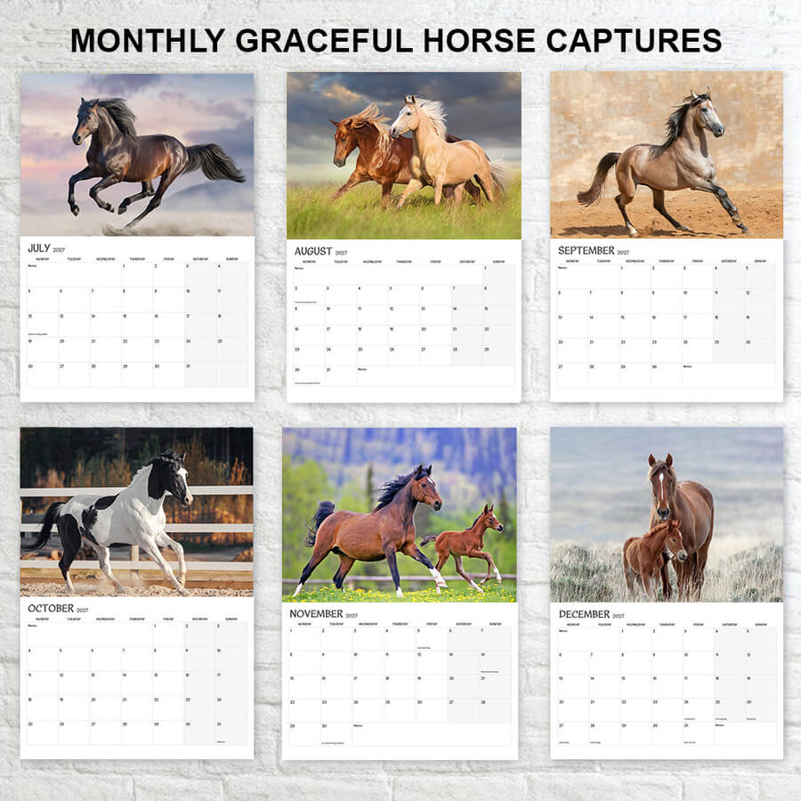 Horse Calendar 2027
