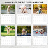 Cute dogs calendar