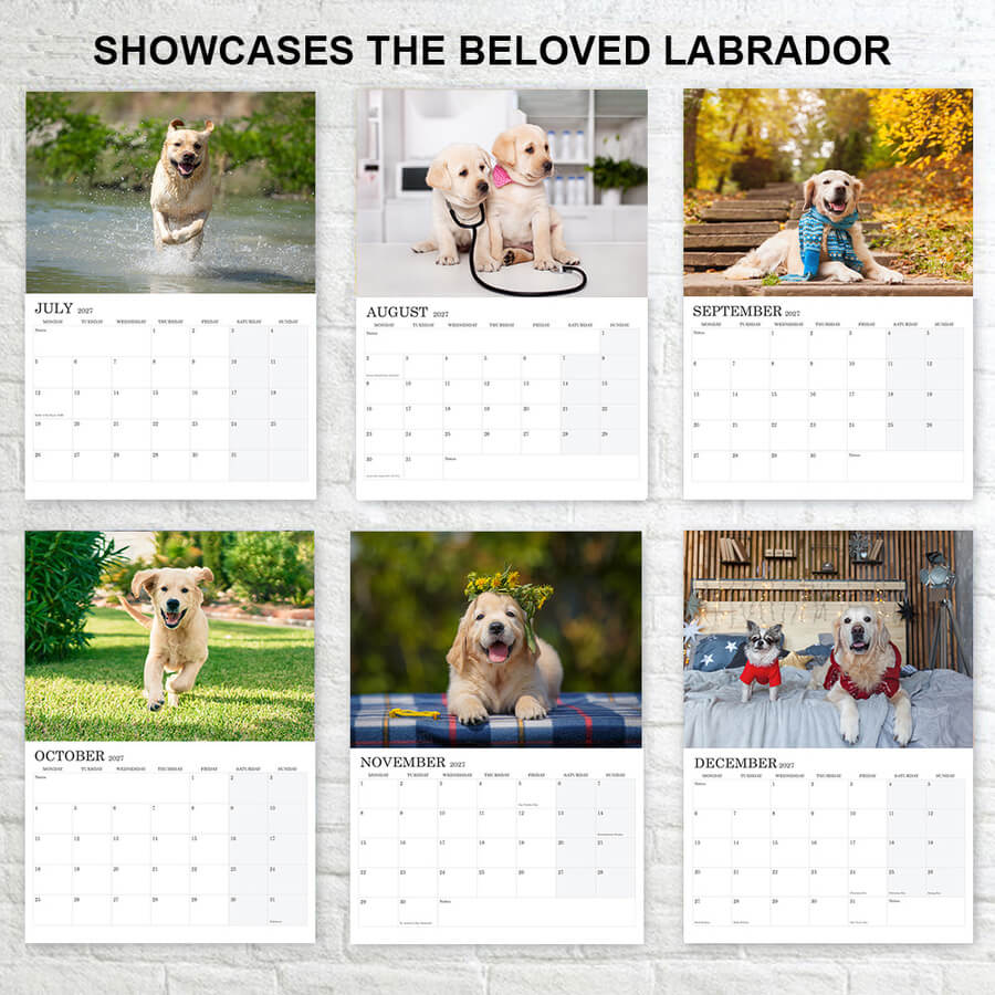 Cute dogs calendar