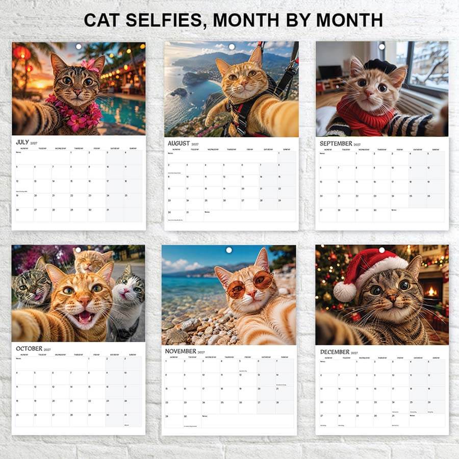 Cat Selfie calendar 2027