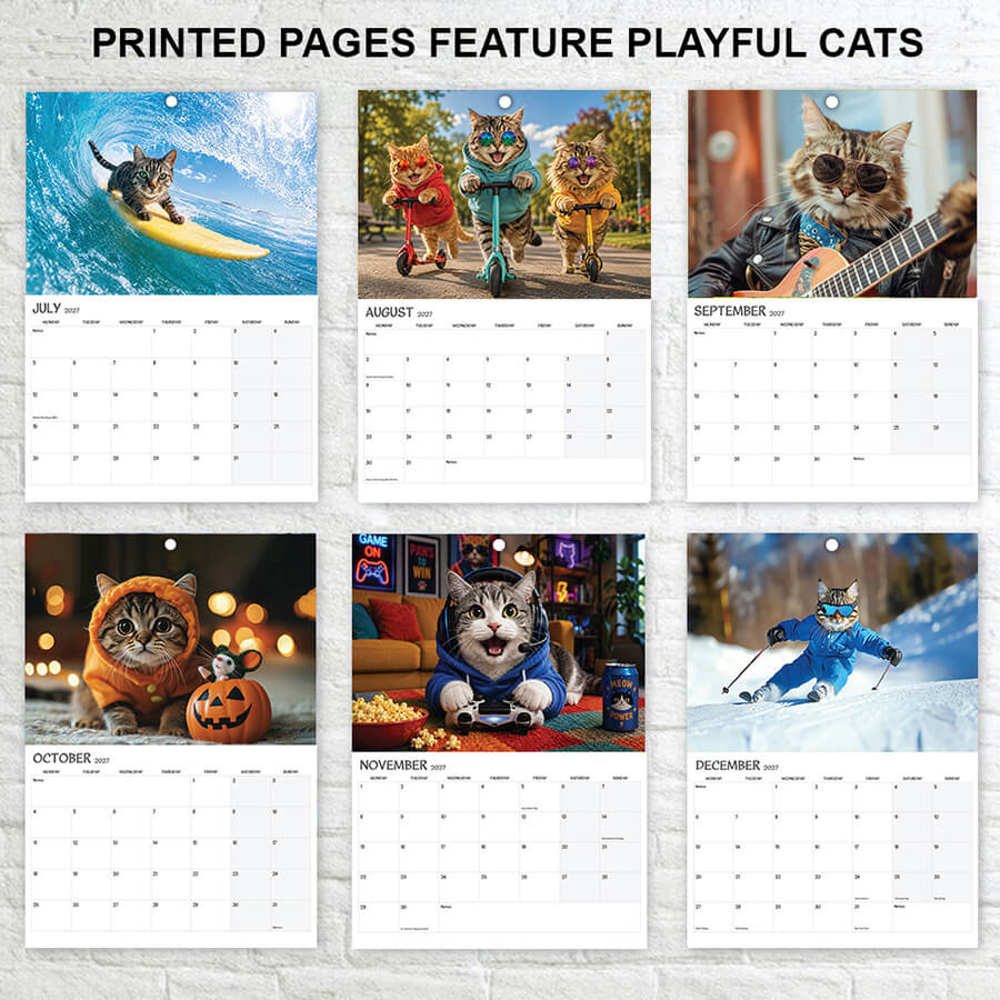 Cat 2027 Wall Calendar A3 12 Months