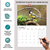 British Bird Calendar 2027 A3 12 Month Wall Calendar