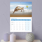Funny animal calendar 