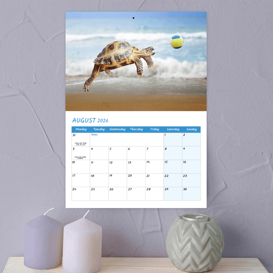 Funny animal calendar 