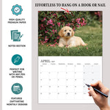 Wall calendars with dogs