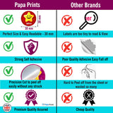 Encouraging Stars Reward Stickers