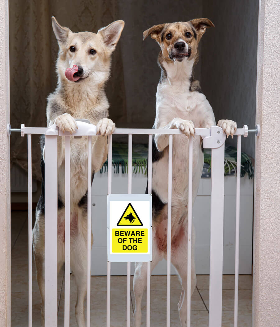 Beware of the Dog Sign Sticker