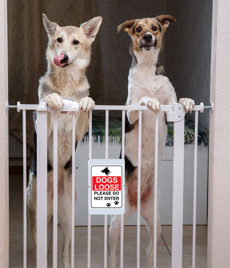 Dogs Loose Please Do Not Enter Sign Sticker