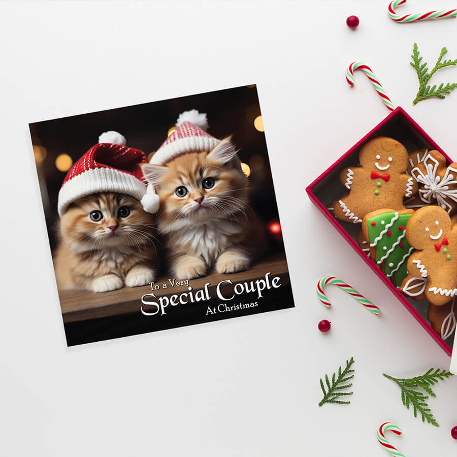 Cat lover Christmas card for couples
