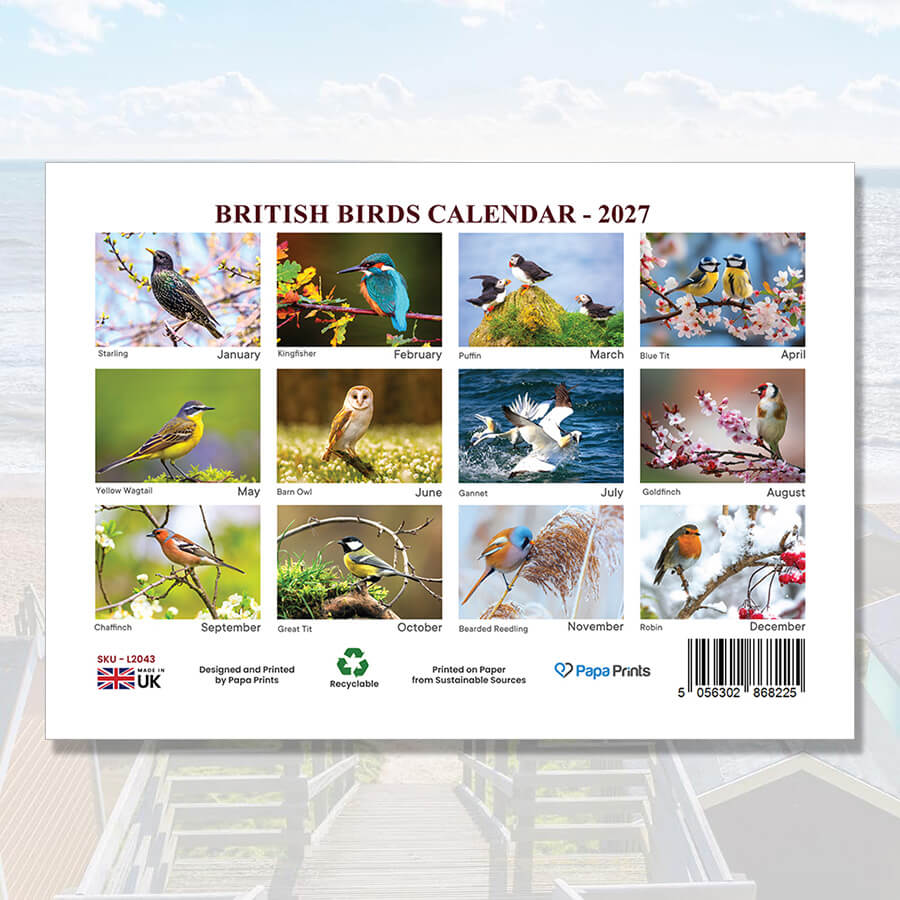2027 A3 Calendar Featuring British Birds and Wildlife