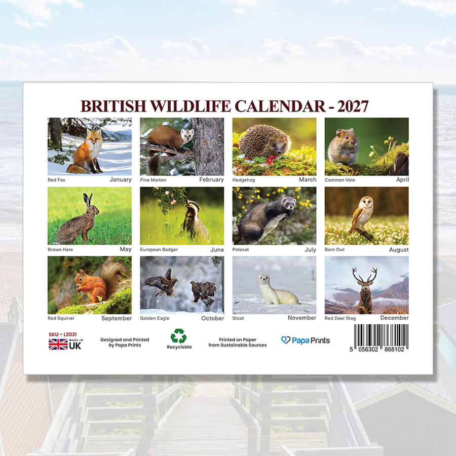12 Month British Wildlife Calendar 2027 A3 Size
