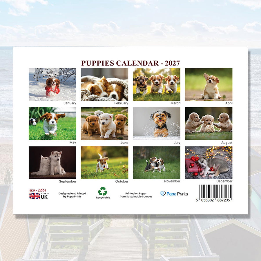 Puppies Calendar 2027