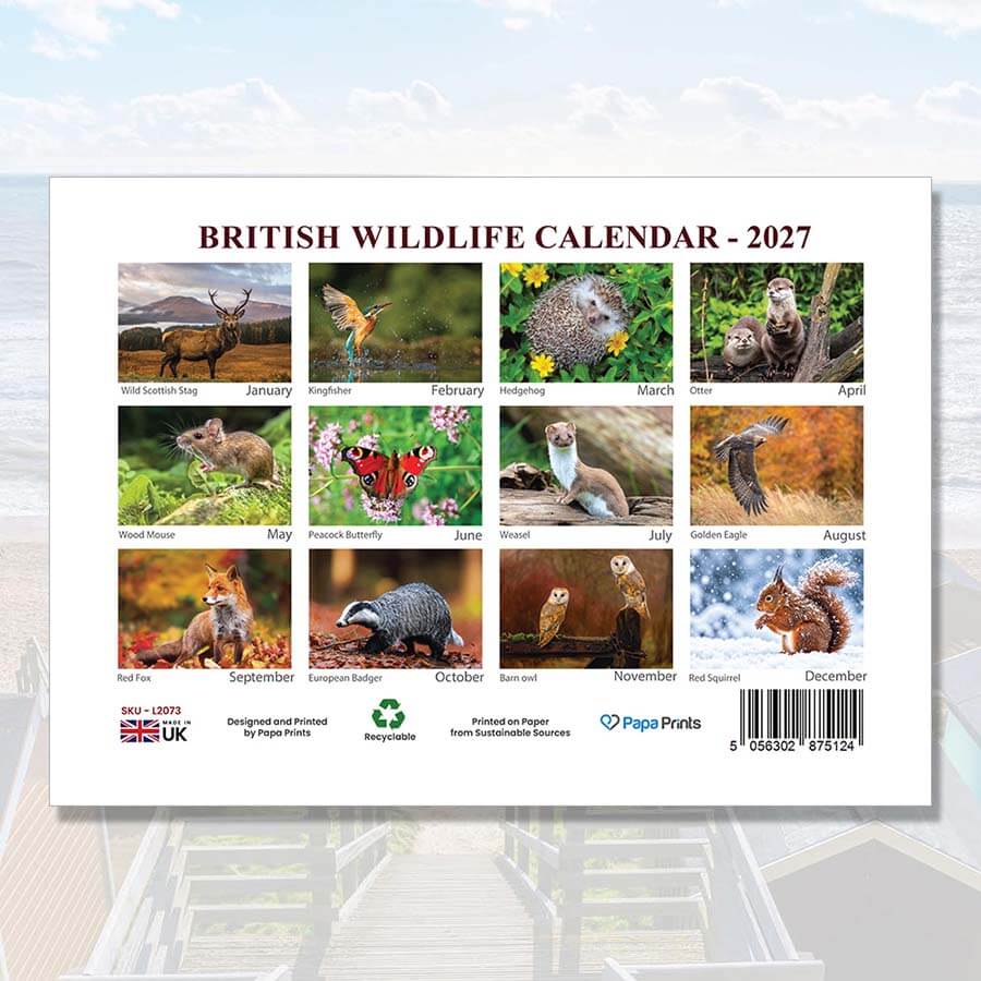 Wildlife Animal Wall Calendar 2027 featuring British animals