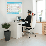 Wall Planner 2026 - A3 - Multicolours