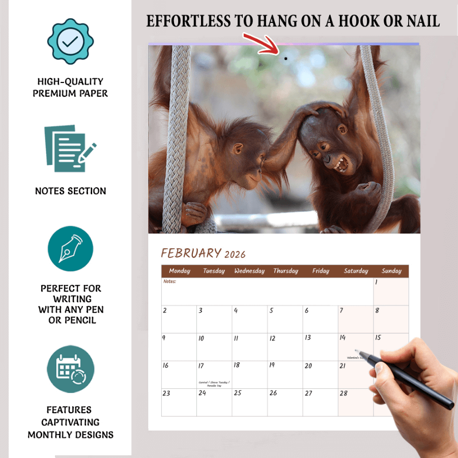 2026 animal calendar A3 funny wall calendar January to December UK