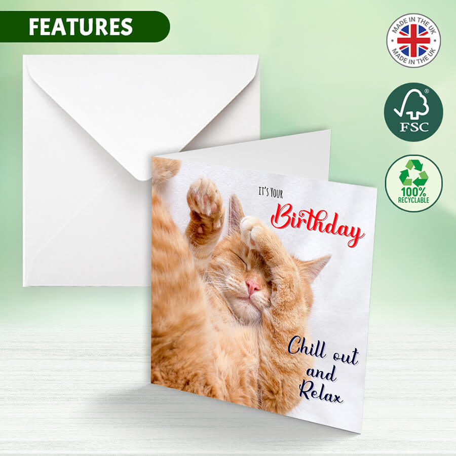 Cat Birthday Chill Out Card