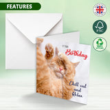 Cat Birthday Chill Out Card