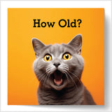 Humorous Cat Age Birthday Card