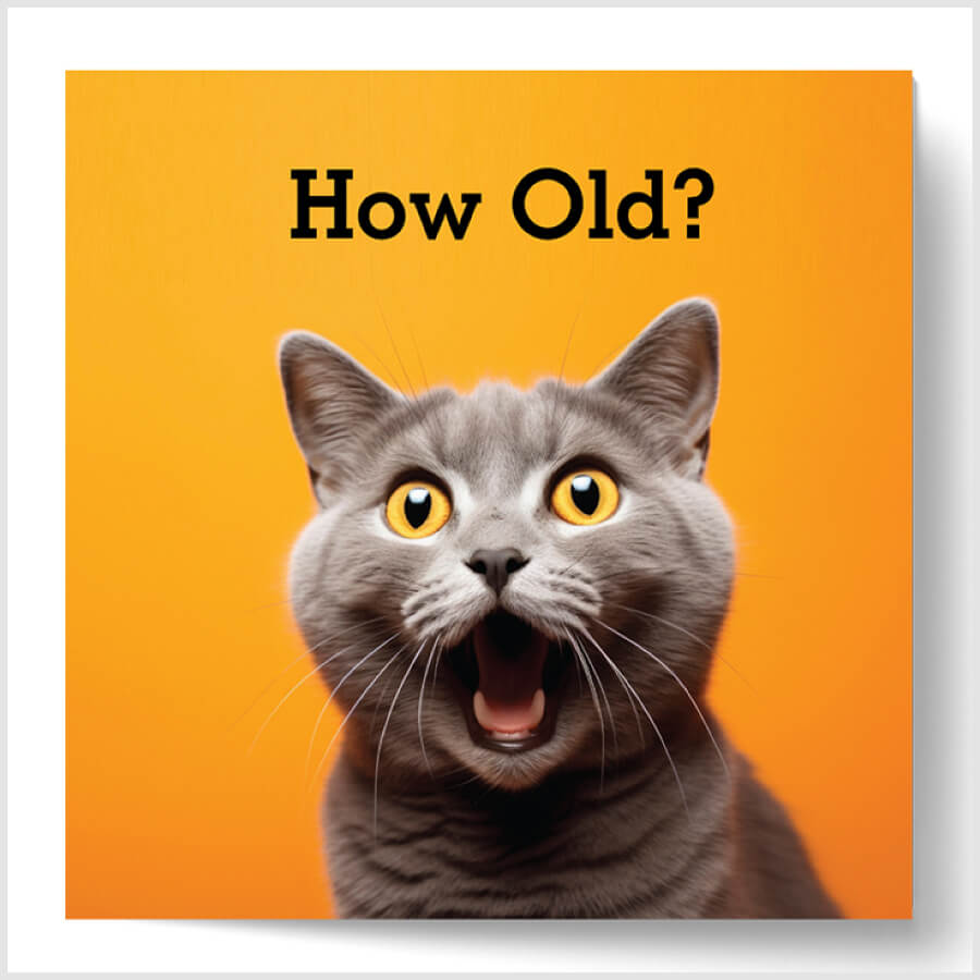 Humorous Cat Age Birthday Card