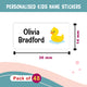 Duck