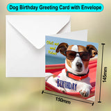 Dog Birthday Chill Out and Relax Greeting Card