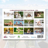 wall calendars with dog