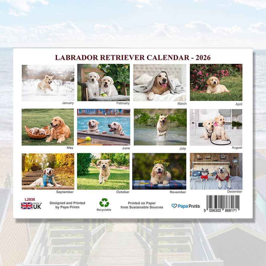 wall calendars with dog